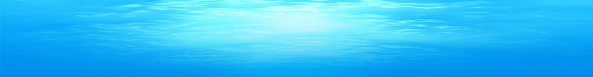 Castellers d'Andorra - Web oficial