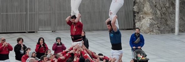 Crònica / Diada de la Constitució, 14 de març 2026